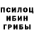 Галлюциногенные грибы Cubensis Gunay Isamova