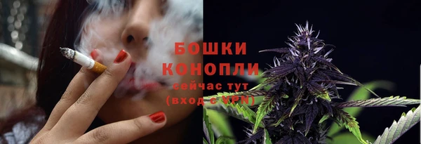 ПСИЛОЦИБИНОВЫЕ ГРИБЫ Костерёво