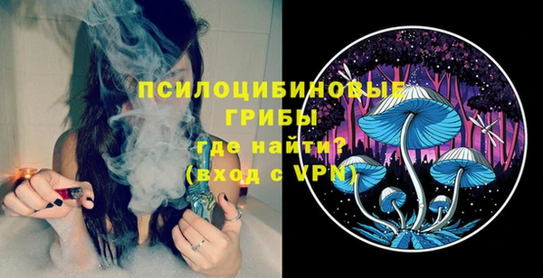 ПСИЛОЦИБИНОВЫЕ ГРИБЫ Костерёво