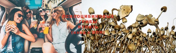 соль ск Коряжма
