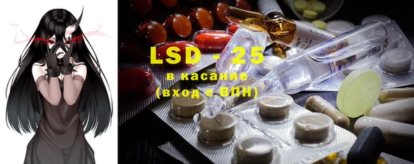 ПСИЛОЦИБИНОВЫЕ ГРИБЫ Костерёво