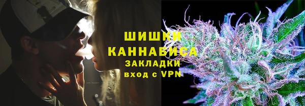 ПСИЛОЦИБИНОВЫЕ ГРИБЫ Костерёво